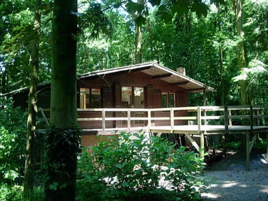 Vakantiechalet voor maximum 7 pesonen, met groot terras en sauna midden een bebost terrein.
